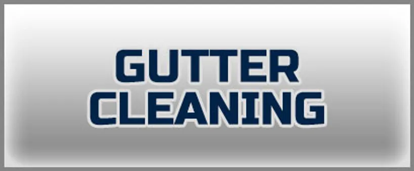 Gutter Cleaning