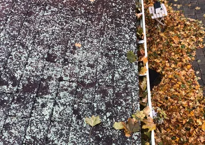 Before cleaning — gutter overflowing with fall leaves, the patio below buried in leaves