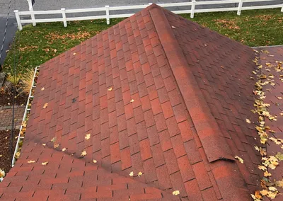 Before cleaning — leaves collected on the roof above the gutter line