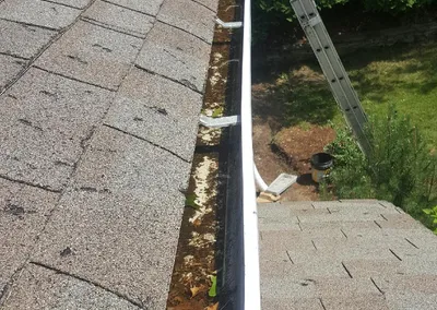 Before cleaning — gutter filled with leaves along the roof edge