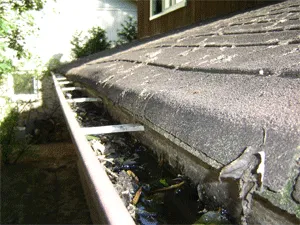 Gutter clogged with leaves and debris along a shingled roof edge