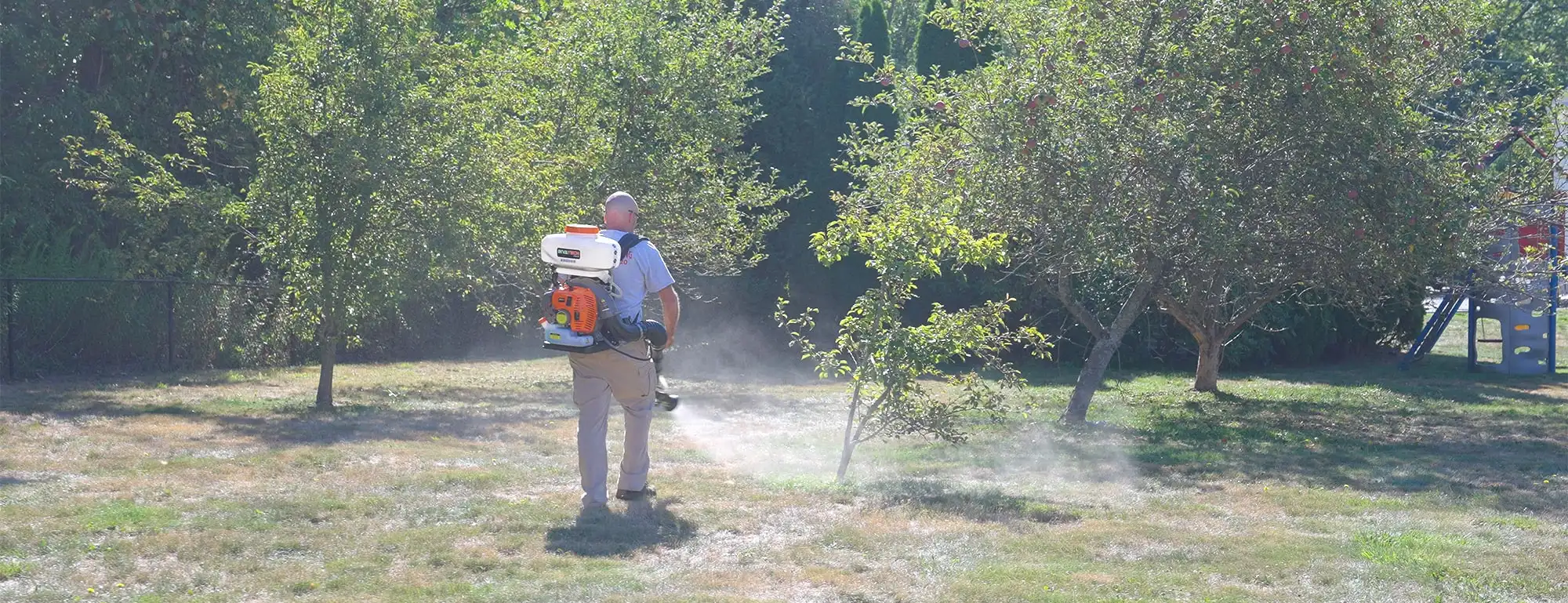 Licensed technician treating a backyard orchard with a backpack mosquito and tick sprayer