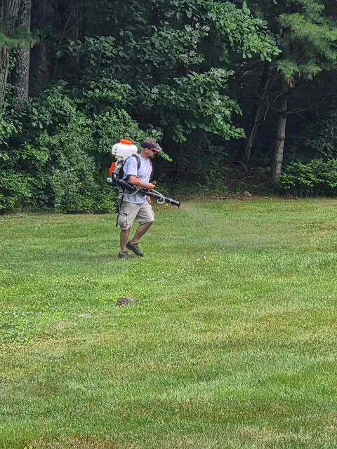 Technician misting trees and shrubs along a yard