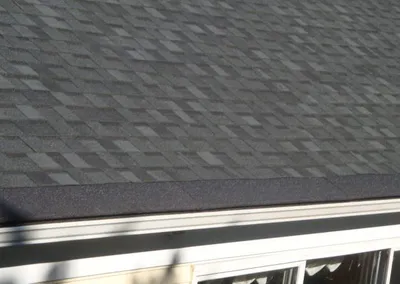 Gutter Roof panel blending into a dark shingled roof