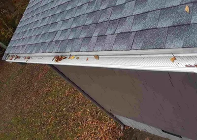 Gutter screen keeping fall leaves out of the gutter
