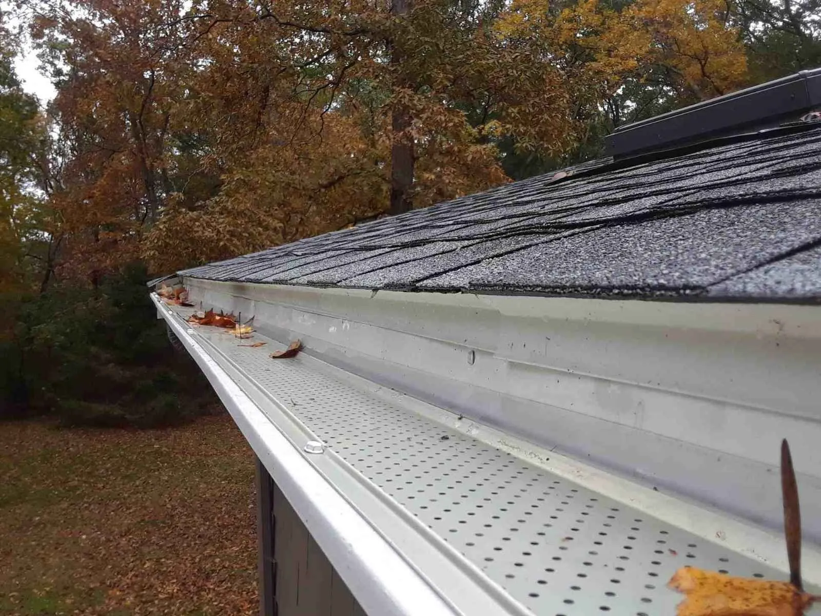 Perforated aluminum gutter screen installed over a gutter beside autumn foliage