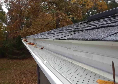 Screened gutter running the length of a roof edge in autumn