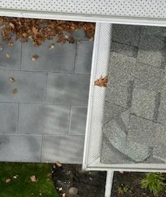 Gutter screen over a stone walkway, seen from the roof